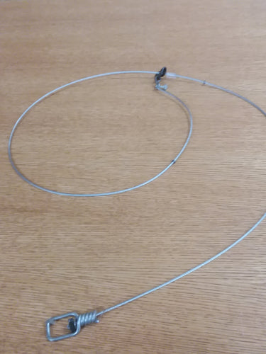 Wisconsin Legal Cable Restraint